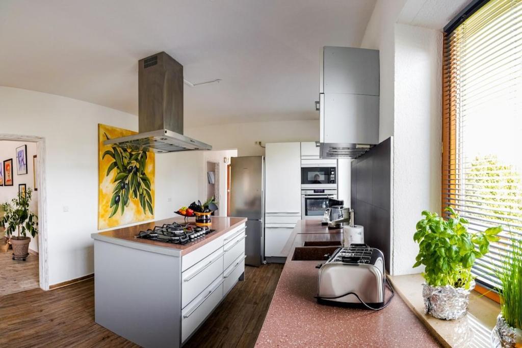 Ferienwohnung Finke 2 FDH Extérieur photo